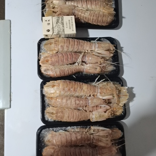 合浦县皮皮虾
