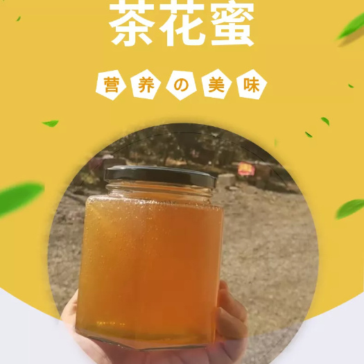 石门县土蜂蜜 湖南冬蜜山茶花蜜农家自产蜂蜜