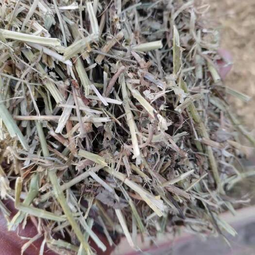 正阳县 专业生产优质花生秧产品，牛羊饲草
