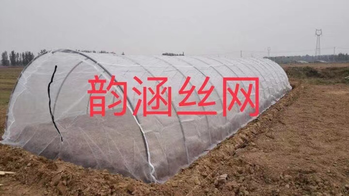 安平县养殖大棚 蚂蚱蝗虫养殖网可定制，加厚耐晒蚂蚱养殖棚网罩