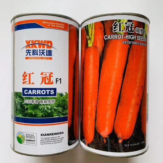 红冠杂交胡萝卜种子三红胡萝卜种籽坂田七寸参胡萝卜种子秋播