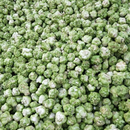 大竹縣小葉榨菜  榨菜