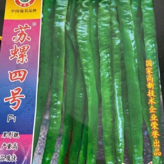 螺丝椒种子 苏螺四号，螺丝线椒30-35厘米，粗2厘米深绿皮