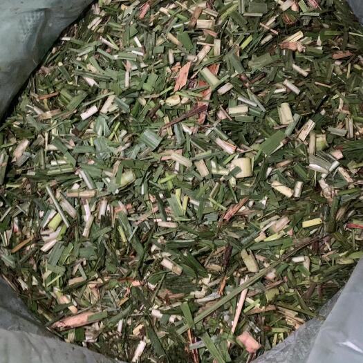来宾稻草 遮草青贮，适合牛羊，现货提供，质量保证