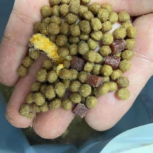 邢台宠物饲料 狗粮100斤装优惠装狗粮大袋通用型金毛边牧大包装犬