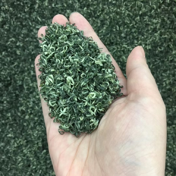 苏州碧螺春纯芽绿茶 今年新茶 500g包邮