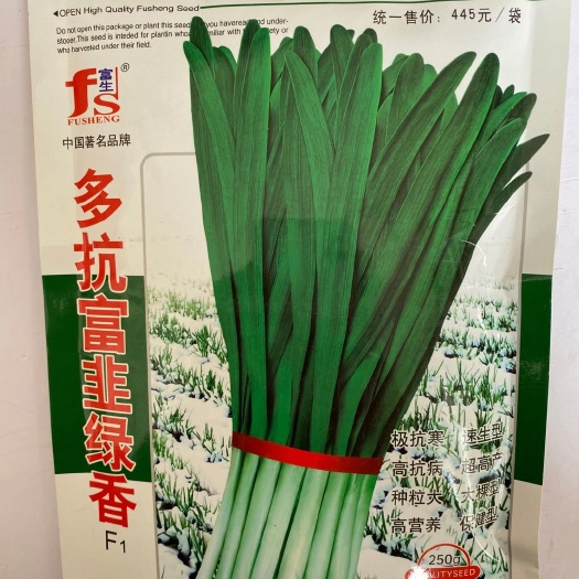 沭阳县 韭菜种子富生多抗富韭绿香韭菜种子高产抗病毒极耐寒越冬高端品种