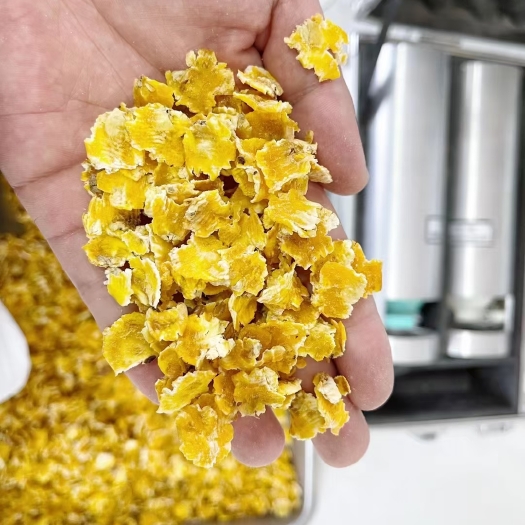 莫旗压片玉米  干玉米 大量优质的玉米压片，可签长期供应订单