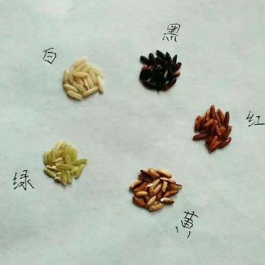 郯城县红米 亿农 五彩旱稻米五彩稻米是指黑、红、黄、绿、紫五色的稻米。