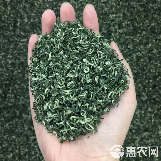 苏州碧螺春纯芽绿茶 今年新茶 500g包邮