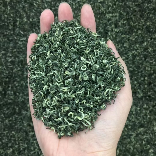 无锡苏州碧螺春纯芽绿茶 今年新茶 500g包邮
