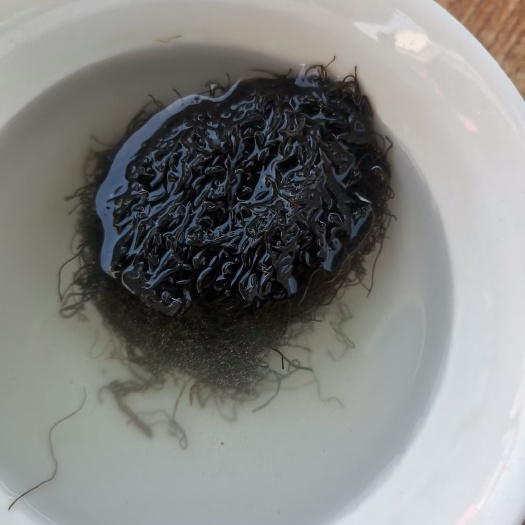 同心县宁夏正宗原发菜，保质保量，不掺杂任何替代物。