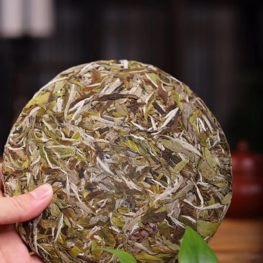 安溪县白牡丹茶 福鼎白茶