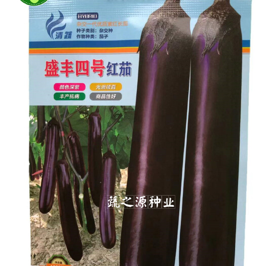 茄子种子盛丰四号紫红长茄种籽35厘米皮色亮红基地用
