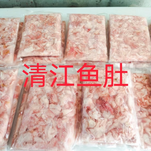 东莞市叉尾鮰鱼 清江 鱼肚，爽脆如生肠，火锅白灼铁板