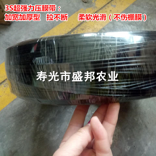 寿光市供应3S强力压膜带  压膜线 压膜绳 大棚物资