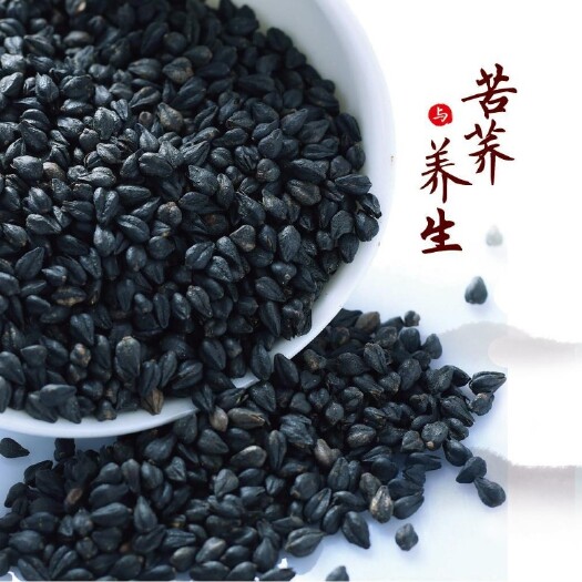 隆德县 优质苦荞种子散装大凉山苦荞籽可做苦荞茶可冲饮春季夏季秋季开花
