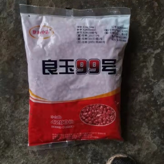 滑县东单1331玉米种子  东单1331玉米杂交种，抗虫优质又高