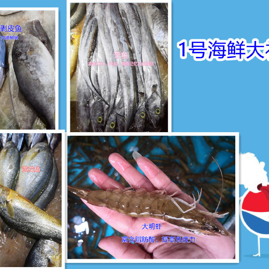 钦州白虾   广西钦州北部湾海域海捕过年过节送礼年货海鲜礼品包