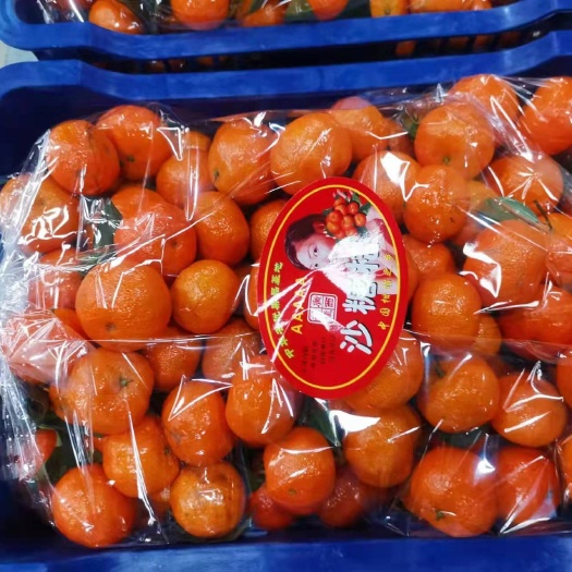 邯郸沙糖桔 广西荔浦砂糖橘精品果，全国配货，电商货