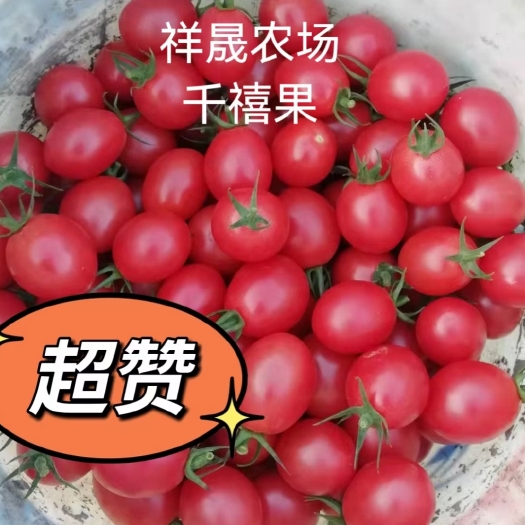 清远千禧圣女果，8-25克/个，甜度9.5左右，欢迎各位老板！