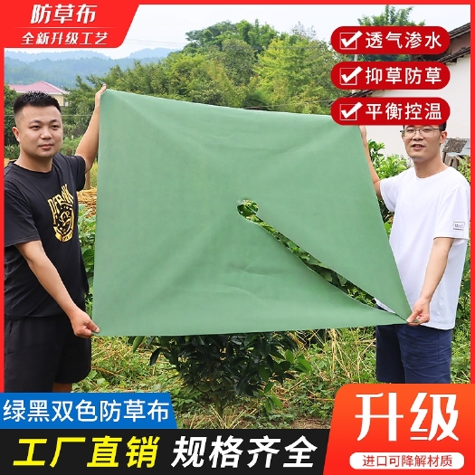 赣州新型绿黑生态切片打孔防草布除草布老果园防草布果树遮草盖草布