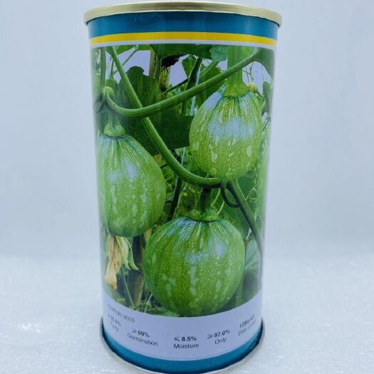 沭阳县 早秀花皮一串铃西葫芦种子无蔓早二号熟嫩食型花皮小南瓜耐寒