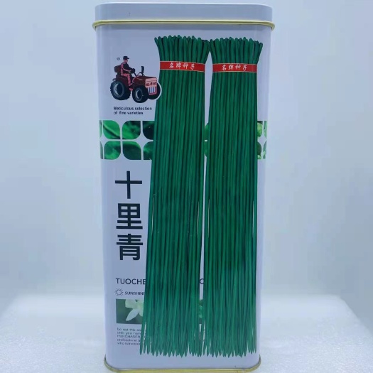 沭阳县豆角种子 十里青豇豆种子四季播高产豇豆种子绿条特长豆角春播架