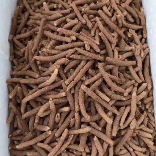 禄劝县新鲜蚂蚱虫卵蝗虫卵