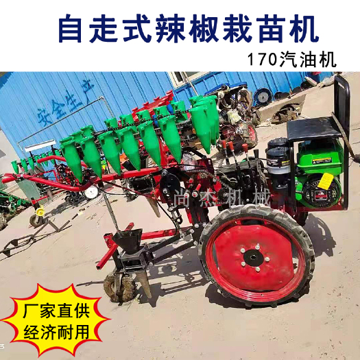衡水 麦地套种辣椒栽苗机多功能插秧机自走式蔬菜栽苗机拖拉机移栽机