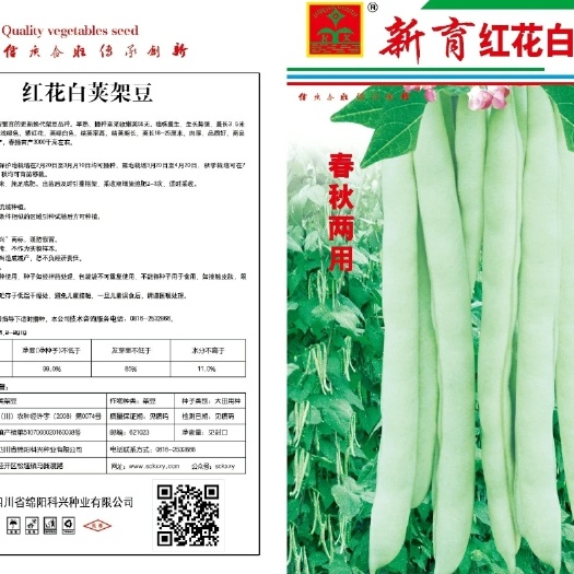 绵阳【厂家直销】红花白荚四季豆种子蔬菜种子套餐春季播