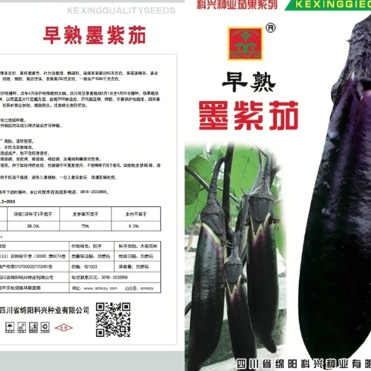 绵阳【一手货源】早熟墨紫茄子种子墨茄种子春秋两用茄子种子