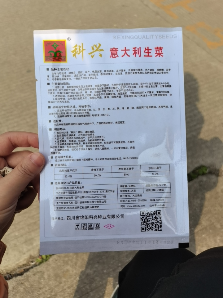 意大利生菜种子春季夏秋冬季阳台盆栽耐抽薹玻璃品青菜种籽种