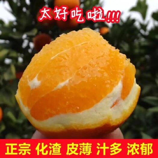 西昌市正宗四川大凉山雷波脐橙脐橙纽荷尔新鲜净重10斤