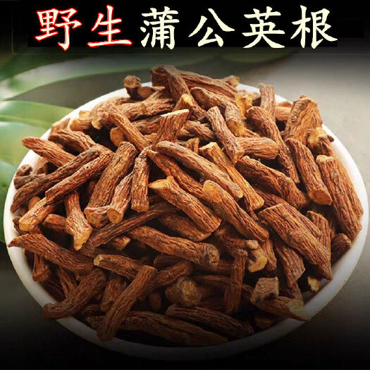 濉溪县蒲公英茶 蒲公英根茶长白山野蒲公英根茶婆婆丁根茶炒熟公英根茶