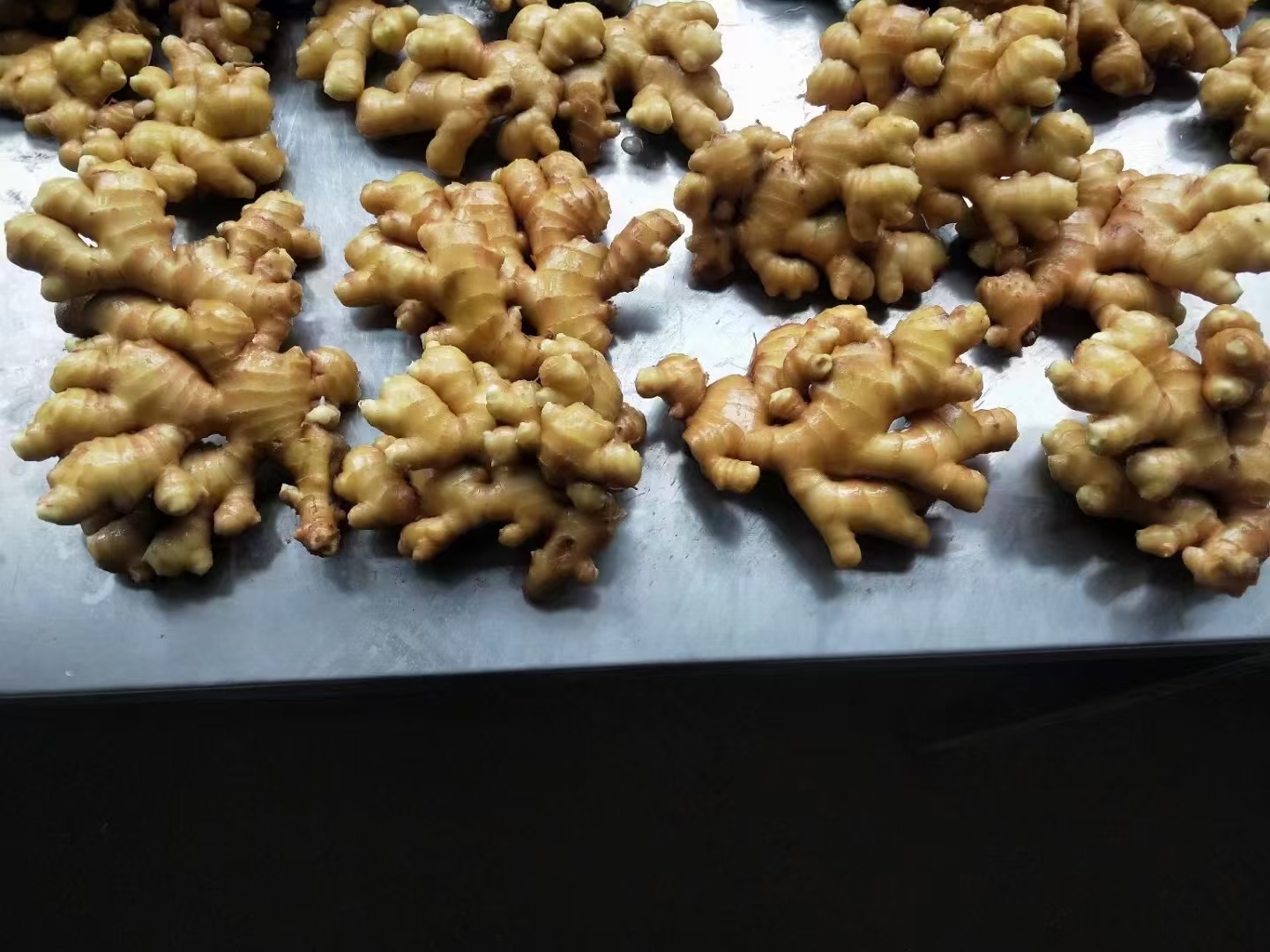沂水县山东生姜，物流开通了。窖藏大姜！小黄姜 ，鲜姜，优质姜种！