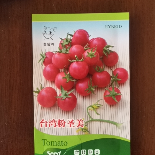 绵阳草莓番茄种子 圣美，小番茄 抗病强 高品质