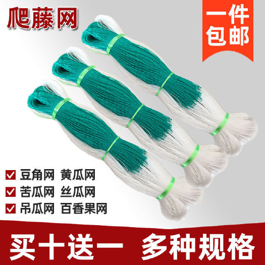 临沂爬藤网 植物 山药网 豆角网 黄瓜网 丝瓜网 吊瓜网 苦瓜网