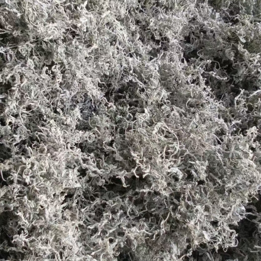 张家界芽尖莓茶