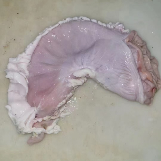 哈尔滨 猪肚