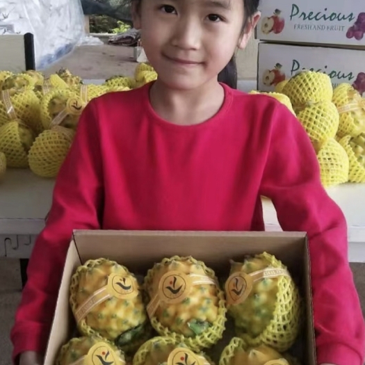 南宁燕窩果 广西壮族自治区南宁市良庆区 