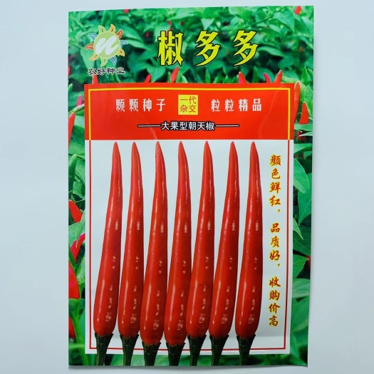 沭阳县椒多多椒霸天椒天下单生大果早熟朝天椒种子辣椒种子抗病高产