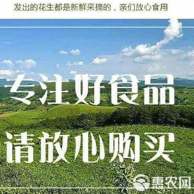 彩色花生 彝山香常年批发云南特产七彩花生 老品种 野地花生供应