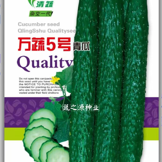 英德市黄瓜种子青瓜种子万蔬5号青瓜种子