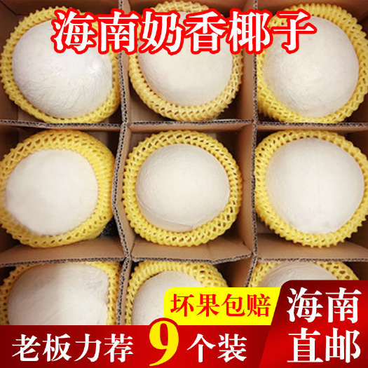 海南新鲜牛奶椰子去皮椰青椰白当季水果椰皇椰白