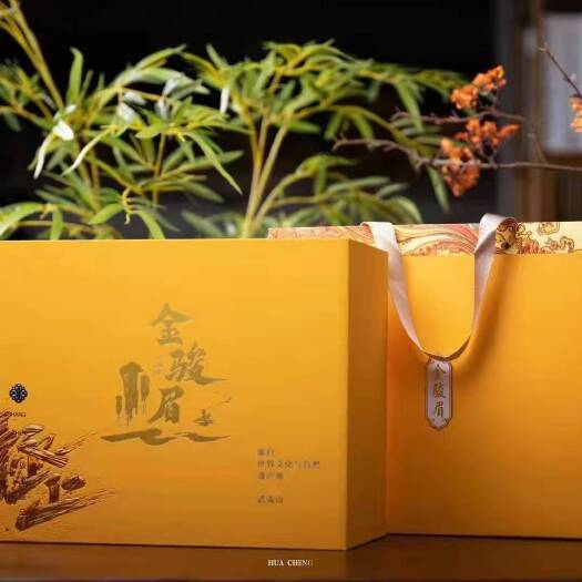 武夷山红茶 金骏眉一套500g 陶瓷罐 礼盒装 年货送礼