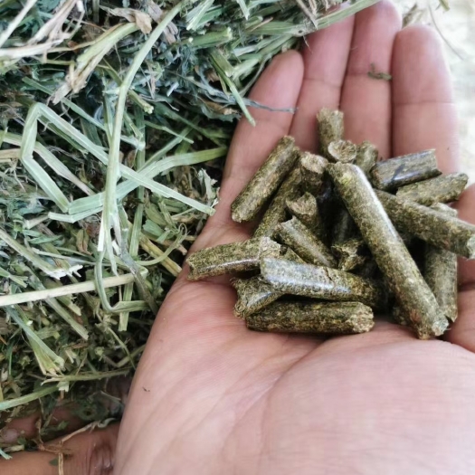 正定县秸秆饲料 花生秧颗粒