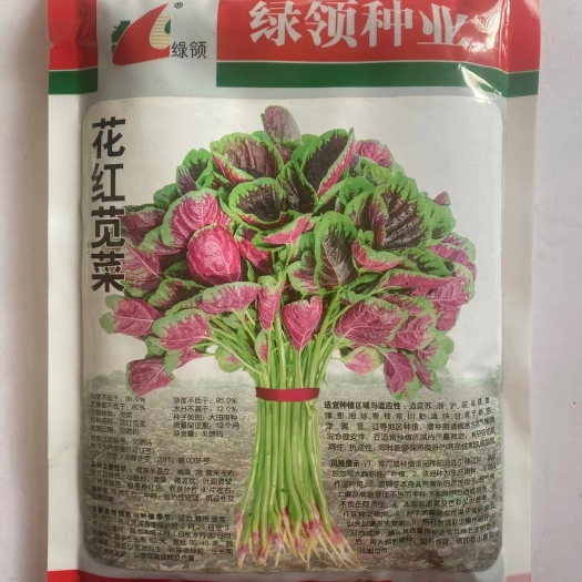 沭阳县绿领花红苋菜种子早熟耐热四季种植金品花红苋菜红苋菜种子