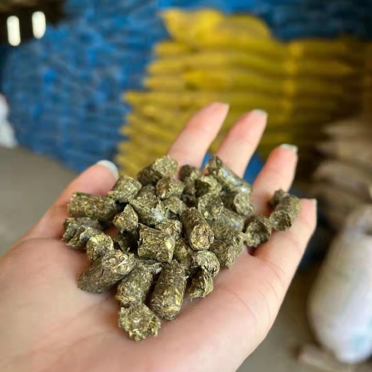 正定县苜蓿草饲料 苜蓿草颗粒