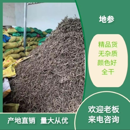 地参  ，虫草参产地直销，量大从优